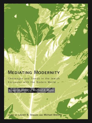 cover image of Mediating Modernity